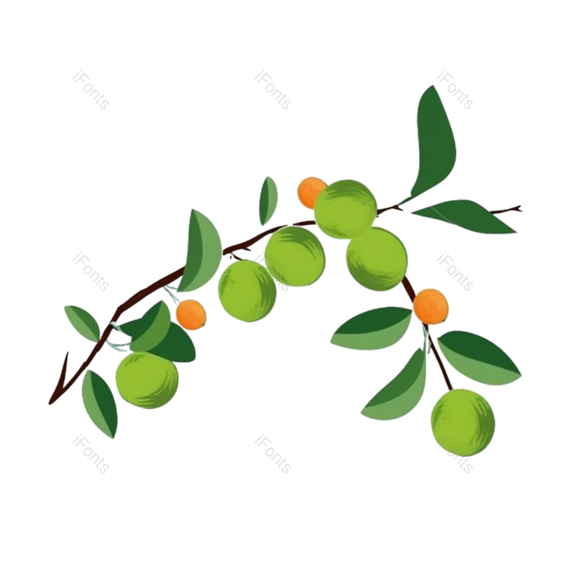 芒种图片,树叶元素,绿色PNG,食品免抠素材